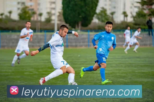 乐鱼体育平台生态图