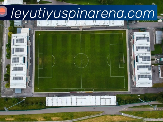 乐鱼体育全站App