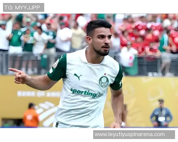 帕尔梅拉斯逆转晋级解放者杯决赛再创辉煌争夺第4冠